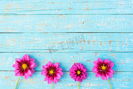情人节边框摄影照片_绿松石木背景上浪漫的粉红色花朵边框