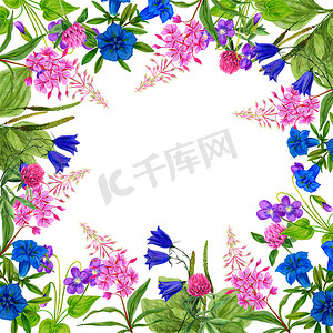 粉色手绘边框花摄影照片_水彩野花、边框、手绘插图
