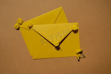 米色背景的两个邮政黄色信封上美丽的黄色洋甘菊小雏菊花，空白的纸条复制空间，用于文本，春天，节日贺卡。