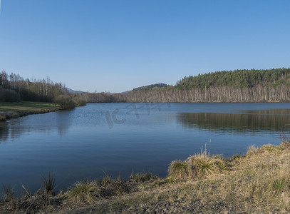 蓝色湖水摄影照片_森林湖蓝色平静的水，鱼塘 Kunraticky rybnik 沿岸生长着桦树和云杉树，蓝天清澈。