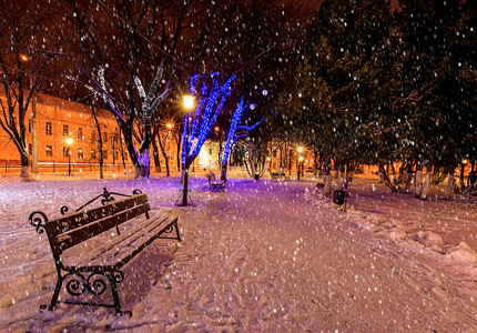 在冬天的夜公园与飘落的雪花。