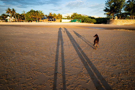 一对很长的夫妇牵手在沙滩上的影子 su