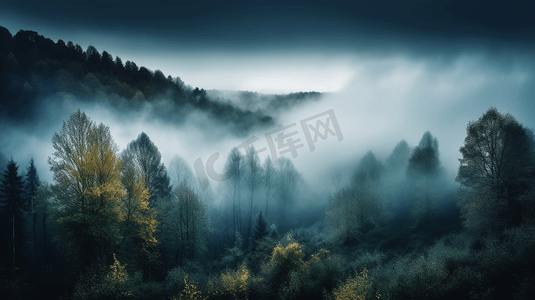 笼罩在浓雾和低空云层中的森林