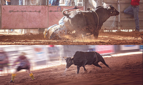 Mean Bucking Bull Rodeo 拼贴画