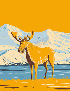 冬天海报摄影照片_德纳利国家公园和保护区的驼鹿或麋鹿或阿拉斯加的麦金利山 WPA 海报艺术