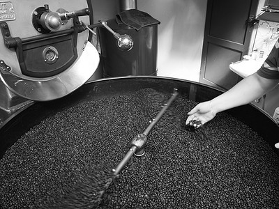 意大利克雷莫纳 — 2022 年 6 月 8 日烘焙生绿阿拉比卡咖啡豆