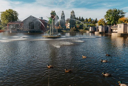 公园鸭子摄影照片_公园湖上的鸭子。