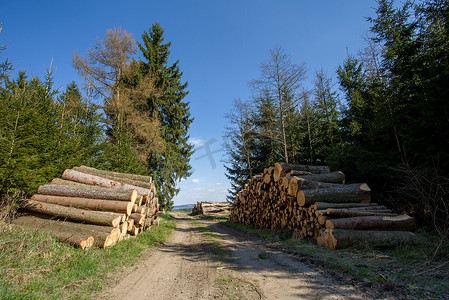 森林公路附近的一堆木头