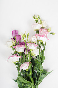 藤本植物摄影照片_美丽的洋桔梗花束
