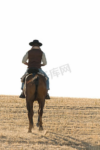 骑手和他的马