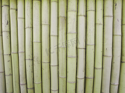 竹背景