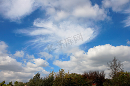旋涡云摄影照片_树上蓝天的积云