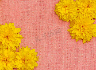 粉红色布料背景下的黄色花框