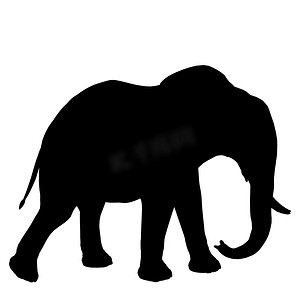 大象插图剪影
