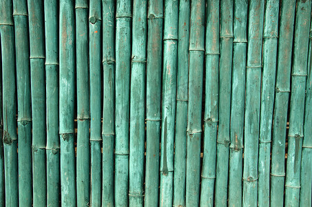 绿色彩绘竹墙背景
