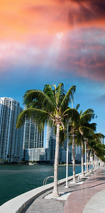 迈阿密沿海的美好的都市风景