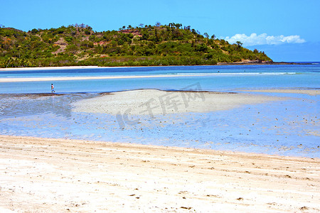 美丽的小岛摄影照片_印度美丽的安迪拉纳海滩海藻