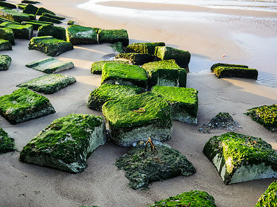 海边的海滩和石头