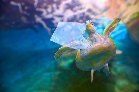 塑料海龟在蔚蓝的大海下吃着塑料袋。