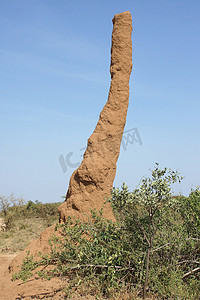 非洲旅游摄影照片_白蚁巢，埃塞俄比亚，非洲