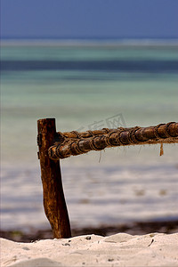 桑给巴尔海岸线的长凳绳索海滩和大海