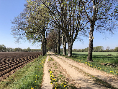 沙路摄影照片_通往 Zelhem 的沙路