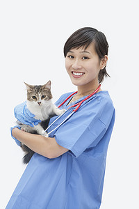 亚洲女兽医在灰色背景下抱着猫的肖像