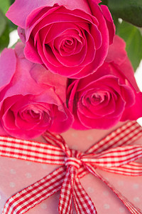 粉色玫瑰搁在粉色圆点包裹的礼物上