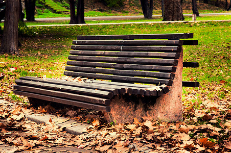 绿色校园摄影照片_公园里的长凳