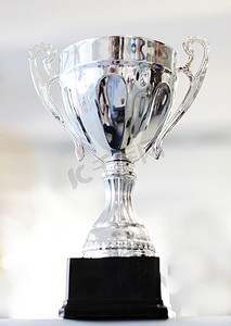 奖杯、奖励和庆祝奖作为因冠军成功而获得银奖的成就。