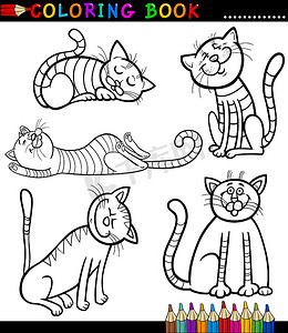 卡通猫或小猫的图画书