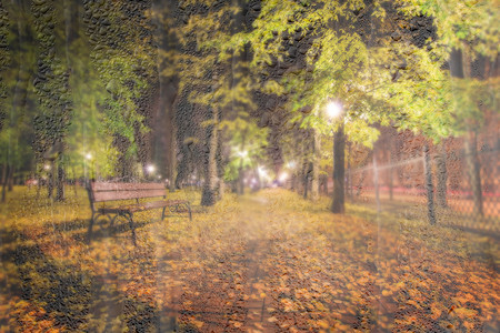 秋天的夜公园，落叶黄黄。