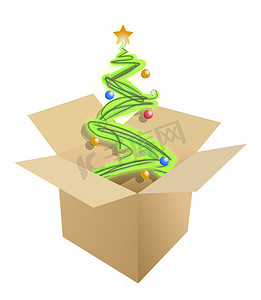 纸板箱内的圣诞树