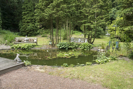 带绿树计划和池塘的英式花园