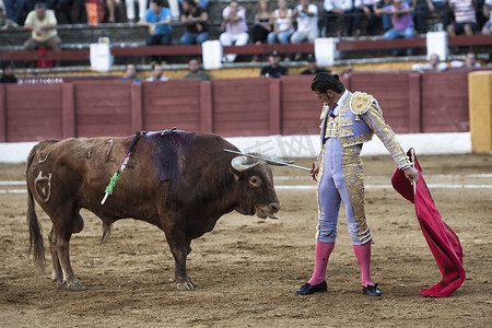 牛头像挂件摄影照片_在安杜哈尔斗牛场，西班牙斗牛士大卫·瓦连特将剑放在公牛头上以示勇敢