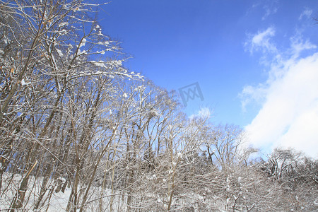 雪原和蓝天