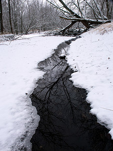 伊利诺伊州冬季溪流场景
