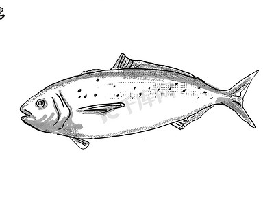卡通鱼家鱼摄影照片_蓝色仓库新西兰鱼卡通复古绘图