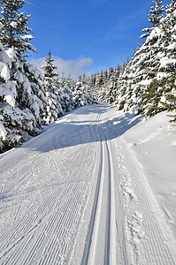 跨部门活动摄影照片_越野滑雪的新鲜赛道