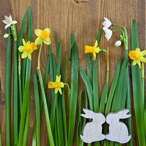 母亲节兔子摄影照片_背景与春天的花朵