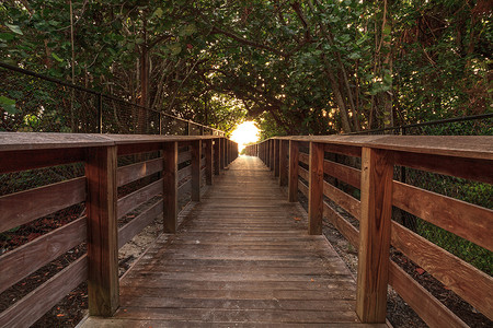 夕阳路摄影照片_日落时通往德尔诺威金斯州立公园的木板路