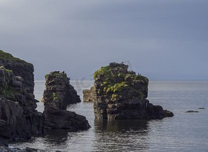 金色灯光背景摄影照片_大西洋中的大鸟悬崖岩石，有海鸥和草，大海和蓝天背景，黄金时段的灯光，夏天在 Hornstrandir 的自然保护区，冰岛西峡湾，复制空间