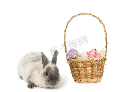 复活节兔子提着一篮子鸡蛋