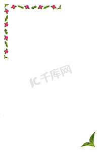 红色边框边框摄影照片_“绣球花的花和叶，框/边框”