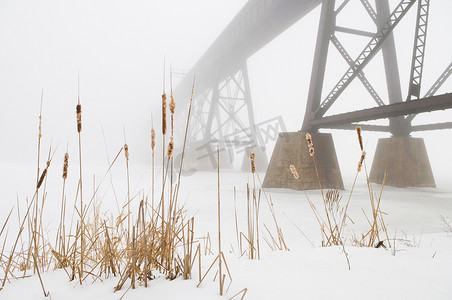 迷失在雾中的火车桥