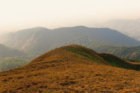Monjong 山顶的黄​​色田野