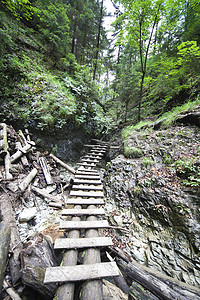 小溪上的山路