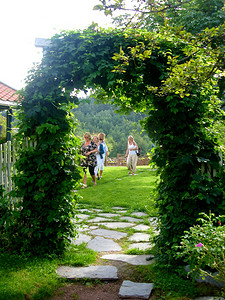 斯堪的纳维亚生活方式——绿植拱门