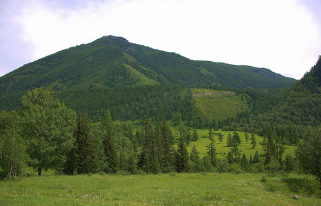 山边长满草的肥沃山谷的景色。