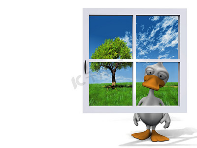 卡通鸭子摄影照片_躲在蓝色窗户后面